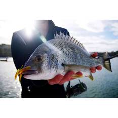 Pro Lure Live Yabby Soft Plastic Lure 60mm Watermelon, Watermelon, bcf_hi-res