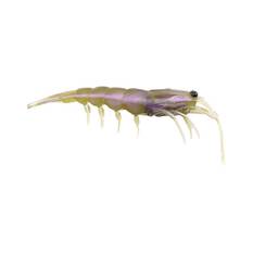 Pro Lure Clone Prawn Soft Plastic Lure 62mm Pearl Green UV, Pearl Green UV, bcf_hi-res