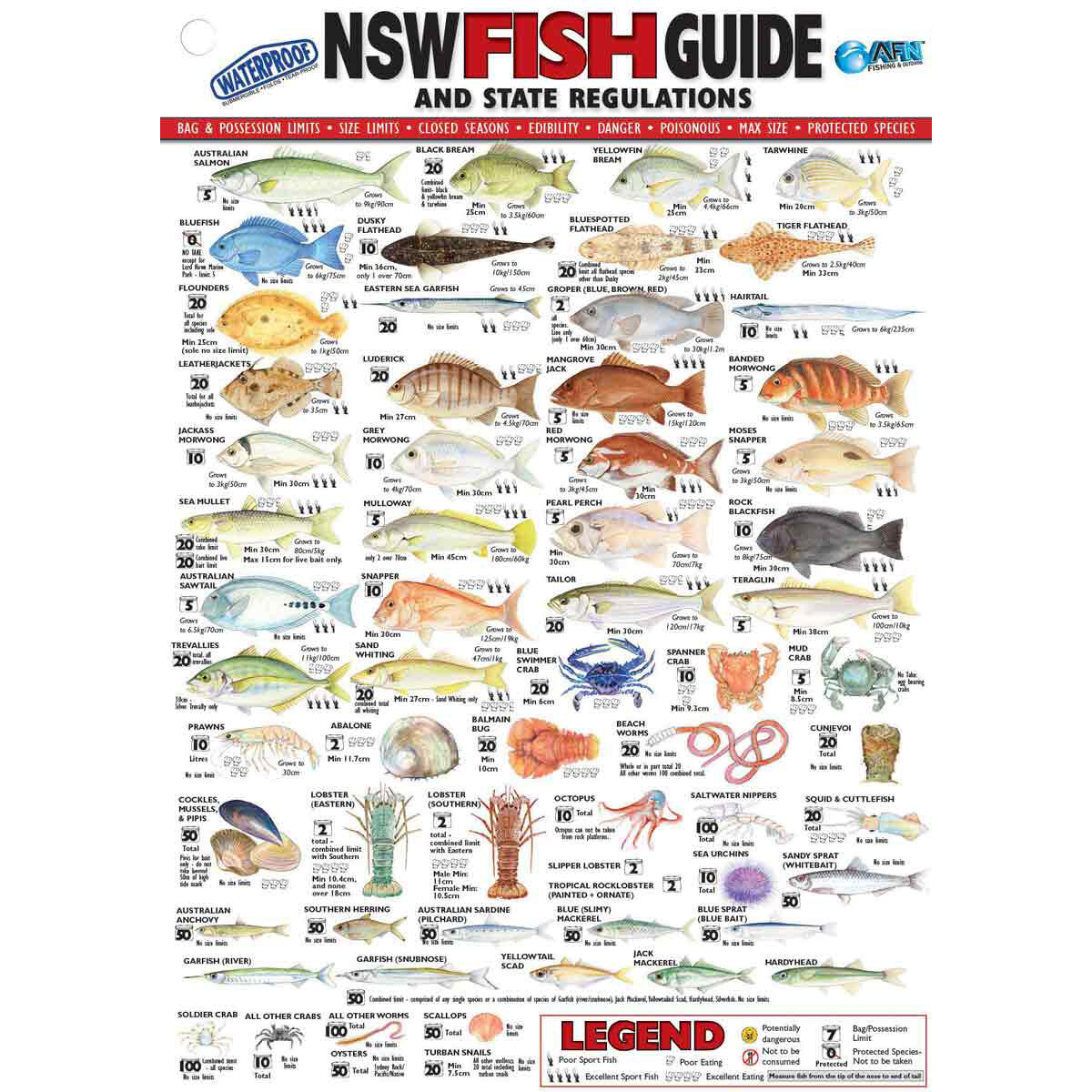 Nsw Fishing Chart