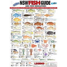 AFN Fish ID NSW Maps/Guides, , bcf_hi-res