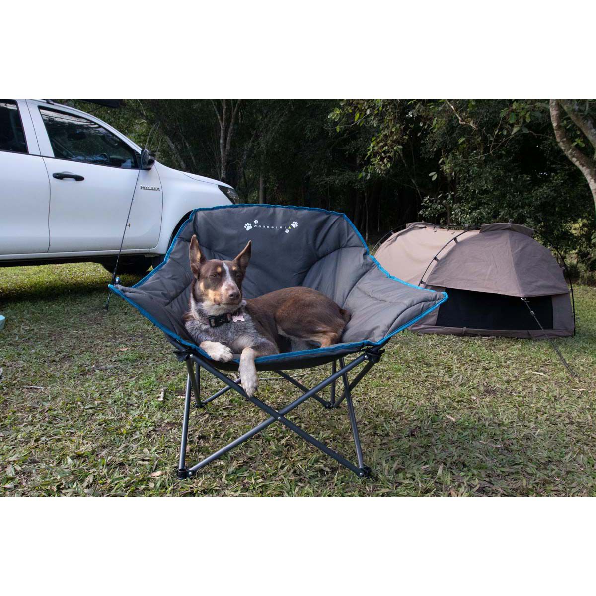Dog deals camping chair