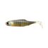 Ghost Gill