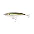 Olive Back Shad