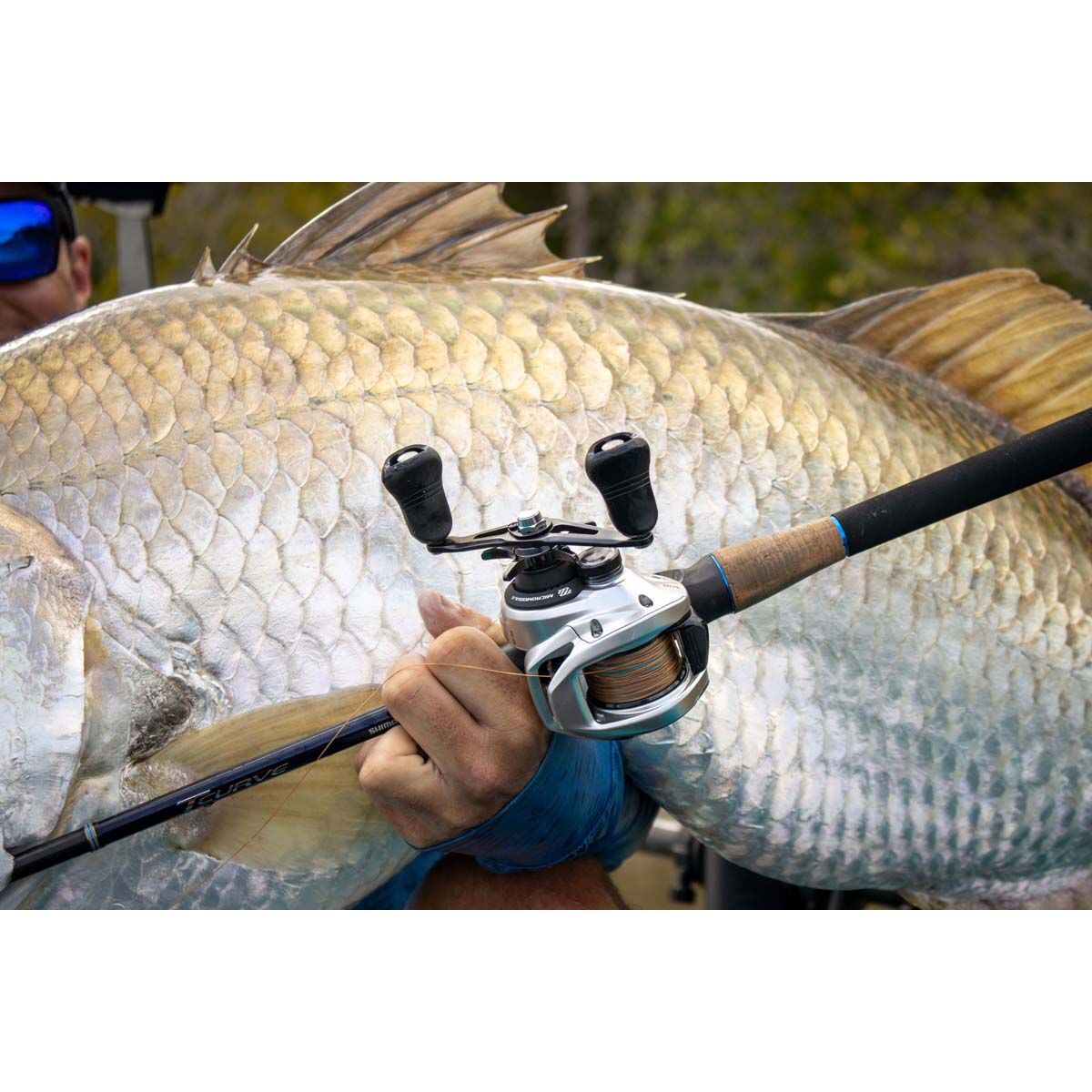 Shimano Tranx 300B Baitcaster Reel, , bcf_hi-res