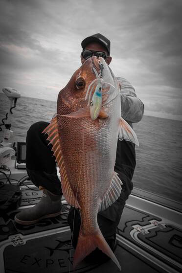 Nomad Squidtrex Jig Lure 95mm Green Gold Gizzy, Green Gold Gizzy, bcf_hi-res