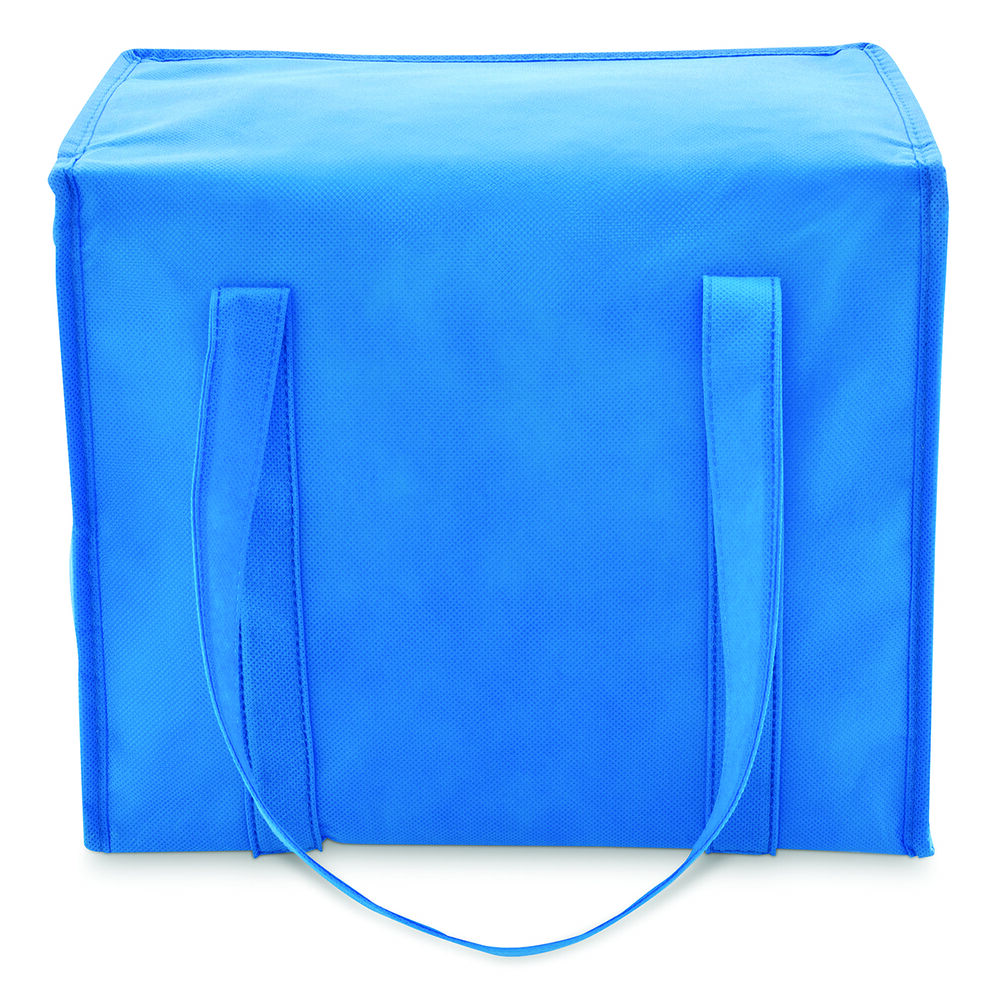 BCF Insulated Frozen Bait Bag BCF