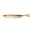 Arkansas Shiner