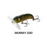 Murray Cod