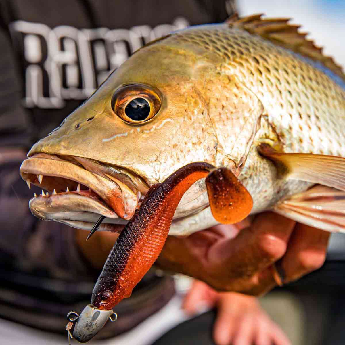 Rapala CrushCity Heavy Hitter Soft Plastic Lure 4in Neon Pearl, Neon Pearl, bcf_hi-res