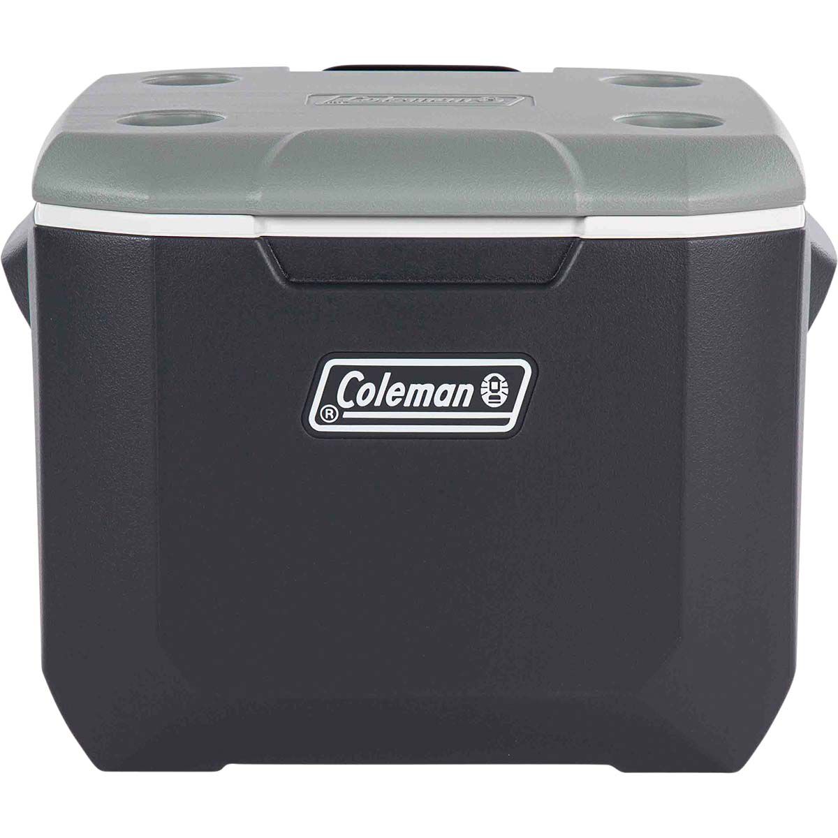 Coleman hotsell travel fridge