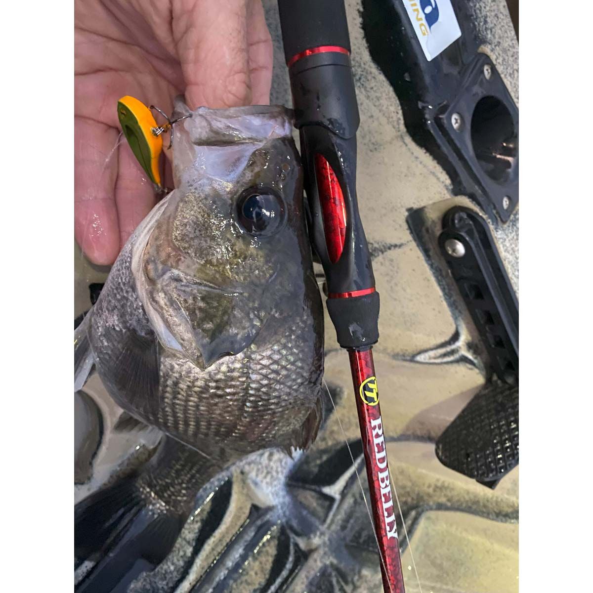 TT Fishing Red Belly Spinning Rod, , bcf_hi-res