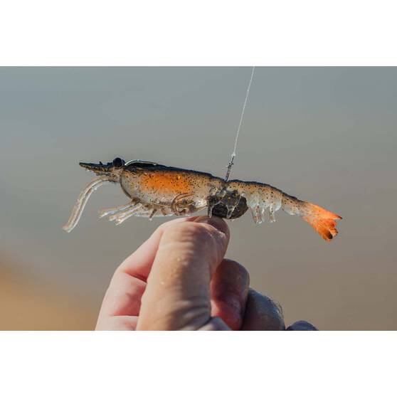 Nomad Live Ops Switcher Shrimp Soft Plastic Lure 5in Gold Bullet UV, Gold Bullet UV, bcf_hi-res