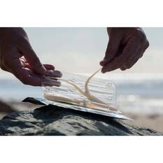 Nomad Live Ops Double Down Soft Plastic Lure 3in Electric Flash, Electric Flash, bcf_hi-res