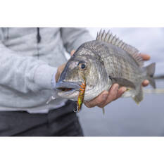 Berkley Shimma Shrimp Soft Vibe Lure 100mm Crystal Shrimp, Crystal Shrimp, bcf_hi-res