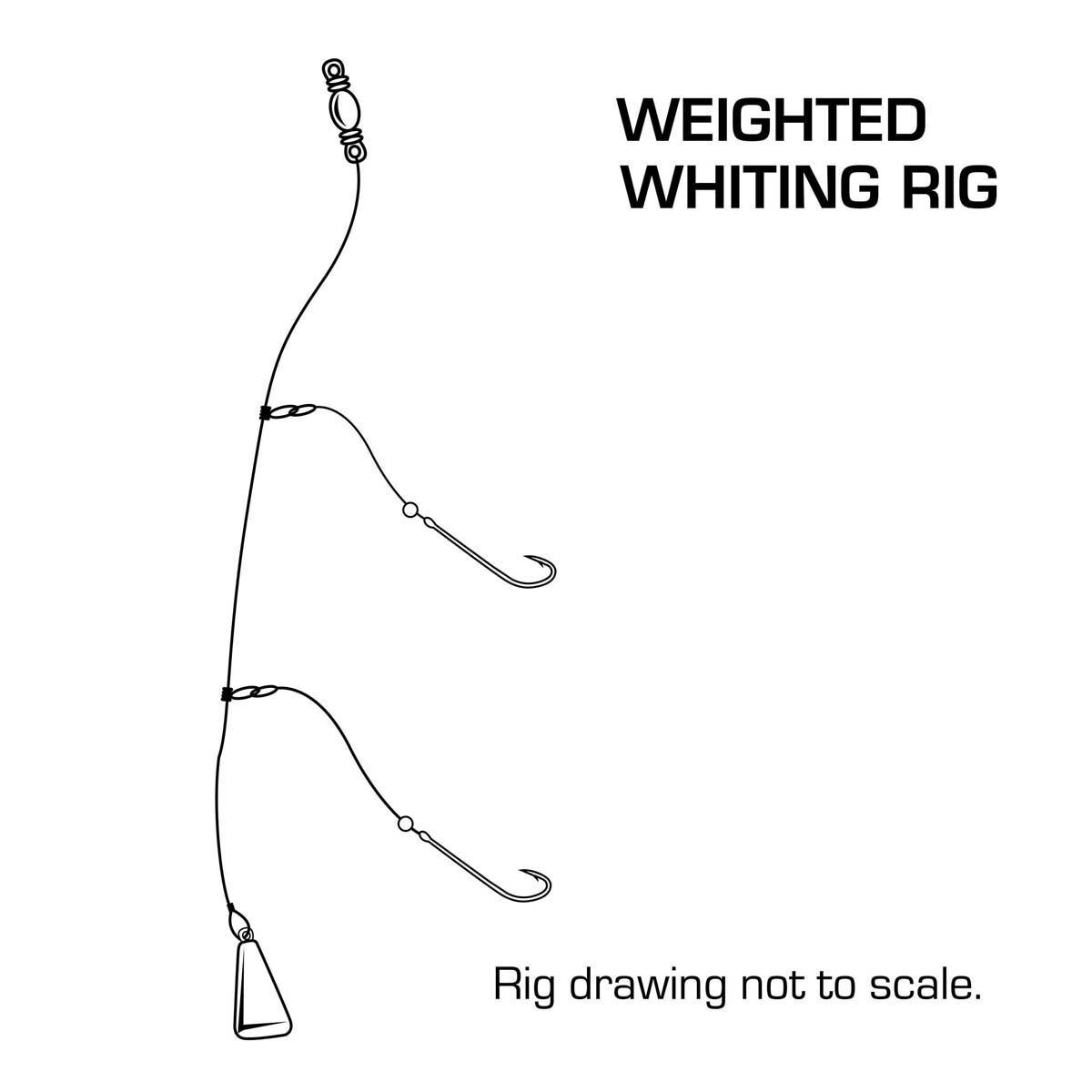 Whiting rig shop