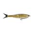 Golden Shiner