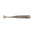 Bloodworm