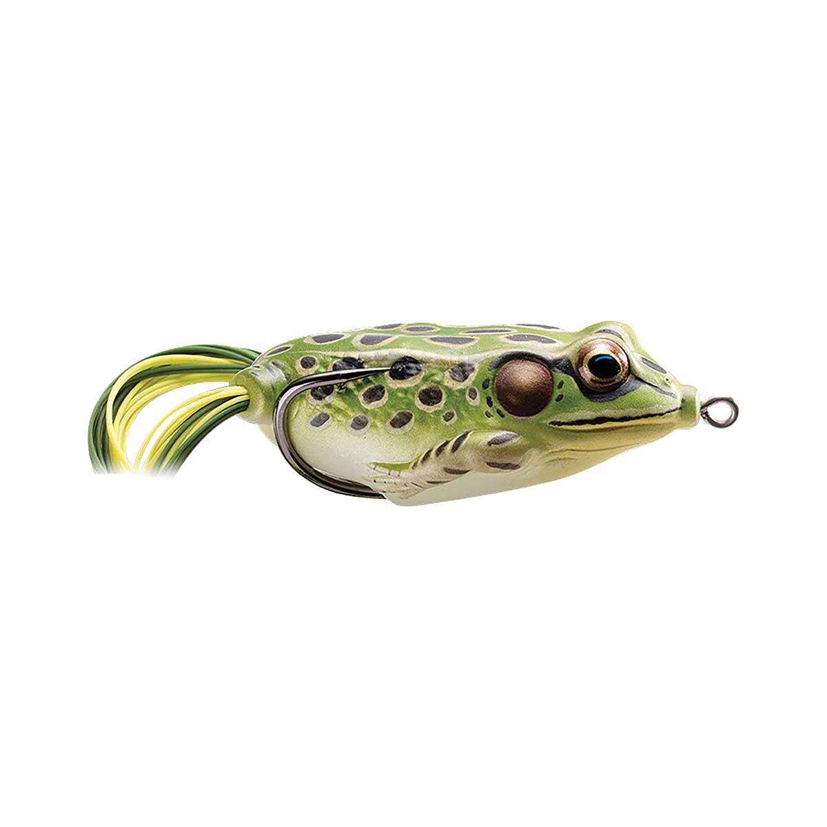 LIVE TARGET Hollow Body Frog Popper - 2.5 Inch Topwater Fishing Lure Designed By Scott Martin
