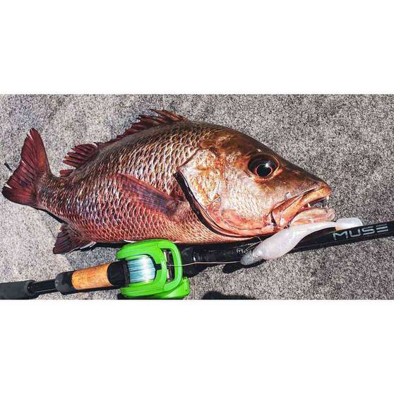 Rapala CrushCity Heavy Hitter Soft Plastic Lure 4in Baitfish, Baitfish, bcf_hi-res