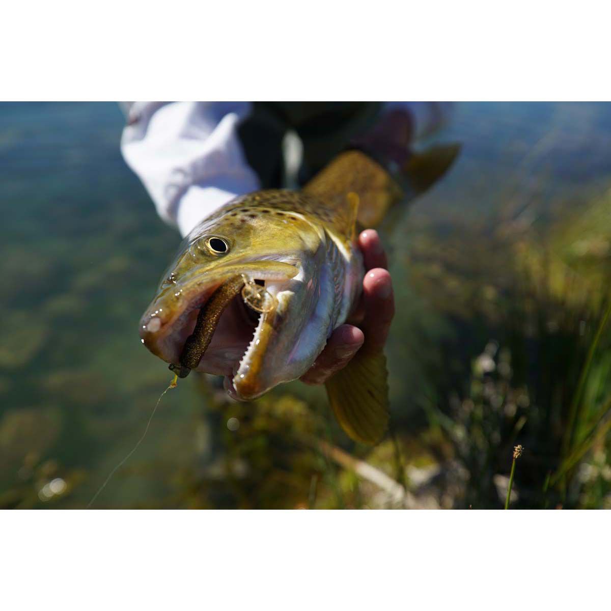 Berkley PowerBait T-Tail Minnow Soft Plastic Lure 2.6in Olive Pearl, Olive Pearl, bcf_hi-res