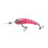 Pink Scale