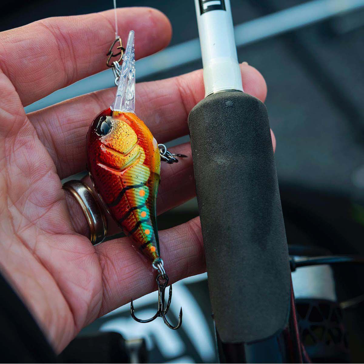 13 Fishing Gordito Crankbait Lure 2in Fire And Ice Craw, Fire And Ice Craw, bcf_hi-res