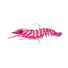 Hyper Pink