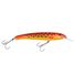 Coral Trout