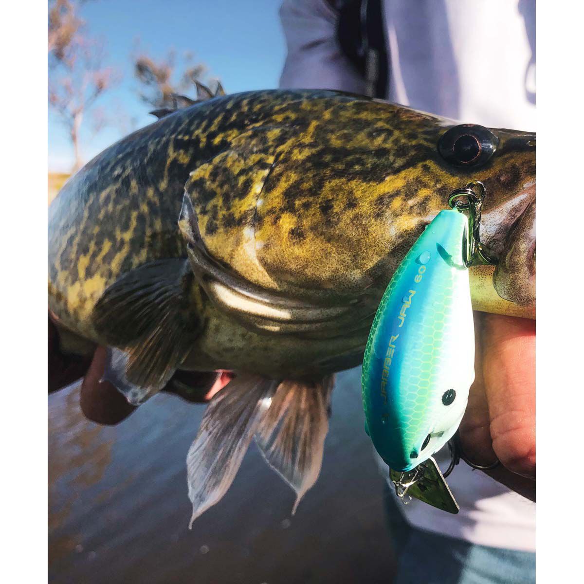 13 Fishing Jabber Jaw Deep Crankbait Lure 2.3in Citrus Shad, Citrus Shad, bcf_hi-res