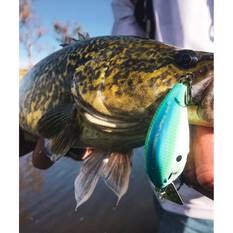 13 Fishing Jabber Jaw Deep Crankbait Lure 2.3in Citrus Shad, Citrus Shad, bcf_hi-res