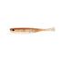 Arkansas Shiner