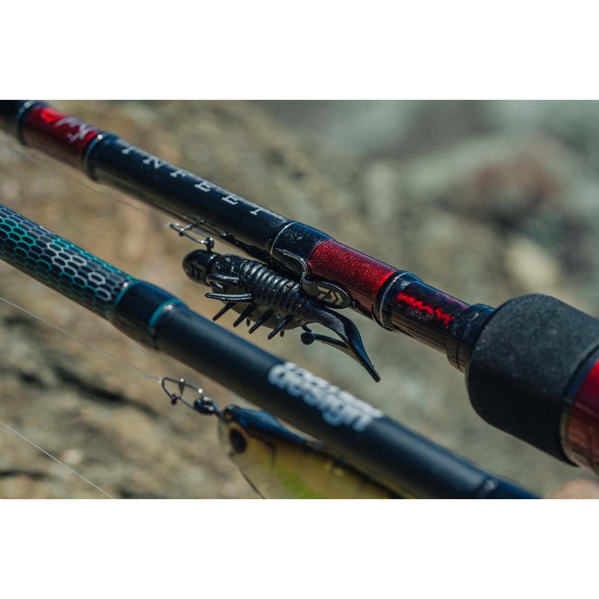 Nomad Live Ops Radiax Soft Plastic Lure 2.25in Watermelon Red, Watermelon Red, bcf_hi-res