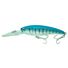 Blue Mackerel