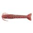 Bloodworm