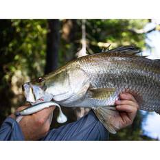 Berkley PowerBait Nemesis Paddle Tail Soft Plastic Lure 4in Bleak, Bleak, bcf_hi-res
