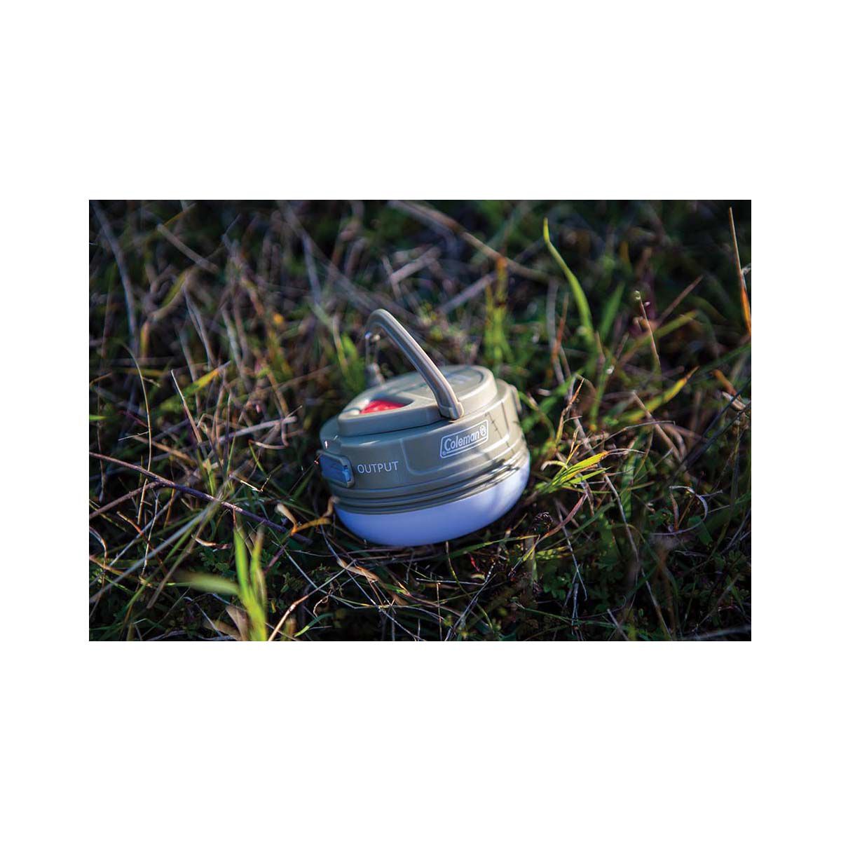 Coleman Swagger Lantern BCF