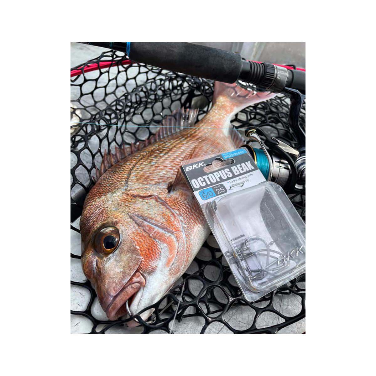 BKK Octopus Beak Hook Black, , bcf_hi-res