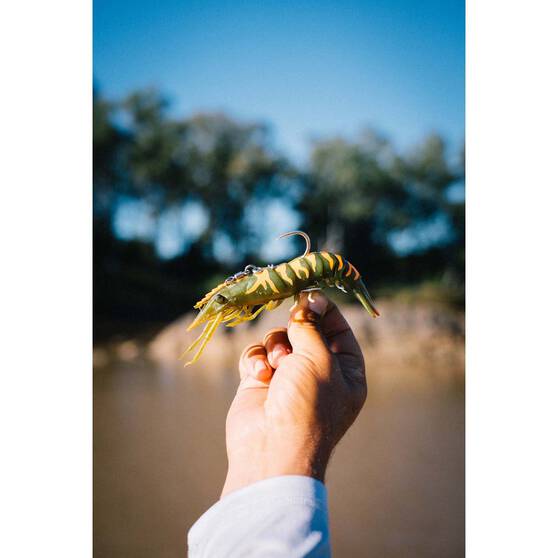 Nomad Live Ops Sumo Shrimp Pre-Rigged Soft Plastic Lure 5in White Glow, White Glow, bcf_hi-res