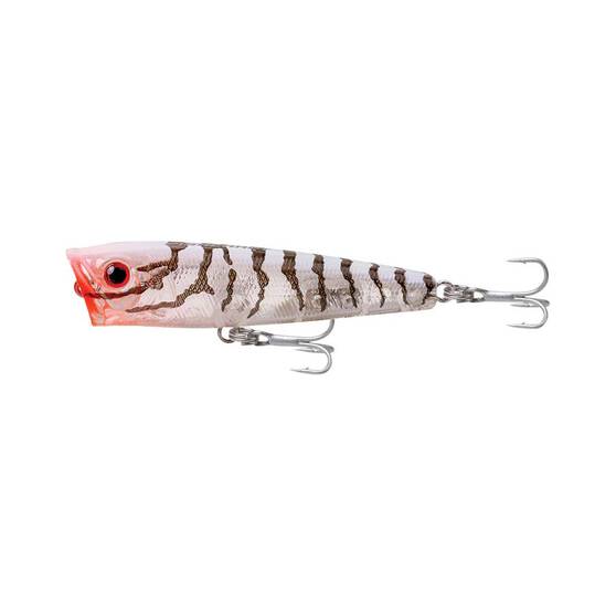 Fishcraft Snoop Pop Surface Lure 65mm Clear Tiger, Clear Tiger, bcf_hi-res