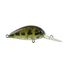 Ghost Green Shad