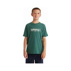 Quiksilver Youth Retro Box Short Sleeve Tee Trecking Green 8, Trecking Green, bcf_hi-res