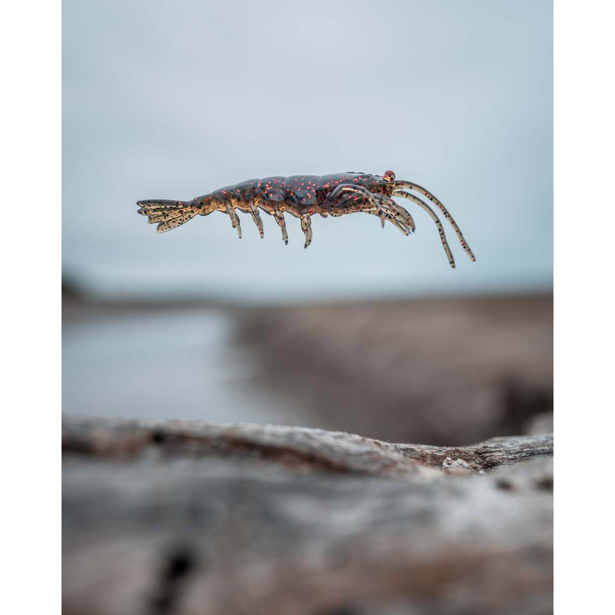 Pro Lure Clone Prawn Soft Plastic Lure 92mm Jelly Prawn UV, Jelly Prawn UV, bcf_hi-res