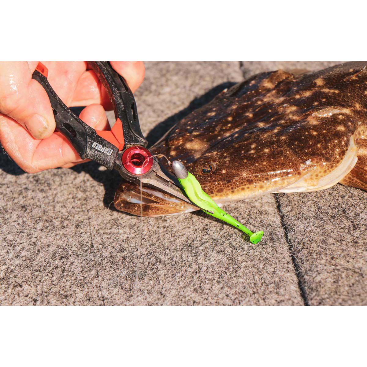 Rapala CrushCity Suspect Soft Plastic Lure 2.75in Pearl Watermelon, Pearl Watermelon, bcf_hi-res