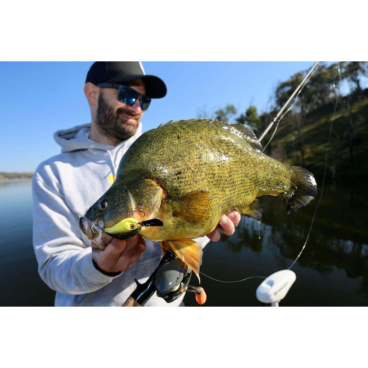 13 Fishing Jabber Jaw Crankbait Lure 2.3in Citrus Shad, Citrus Shad, bcf_hi-res