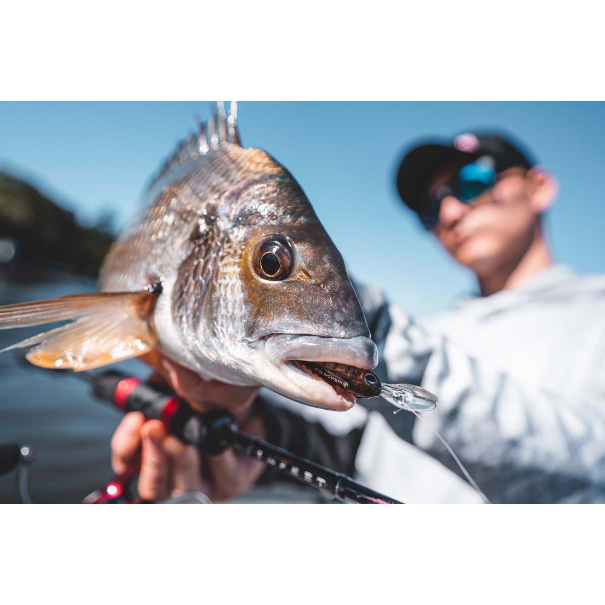 Daiwa Infeet Kodachi 40SF Hard Body Lure 40mm Chrome Belly, Chrome Belly, bcf_hi-res