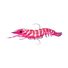 Hyper Pink
