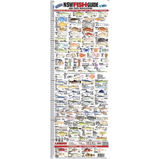 AFN Fish Ruler Guide, , bcf_hi-res