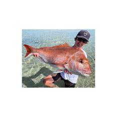 BKK Octopus Beak Hook Black 25 Pack, , bcf_hi-res