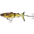 Gold Shiner