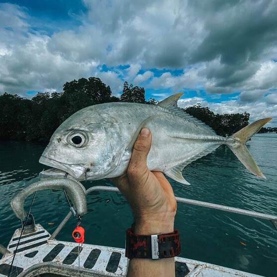 TT Fishing Snake EyeZ Jigheads Pearl, , bcf_hi-res